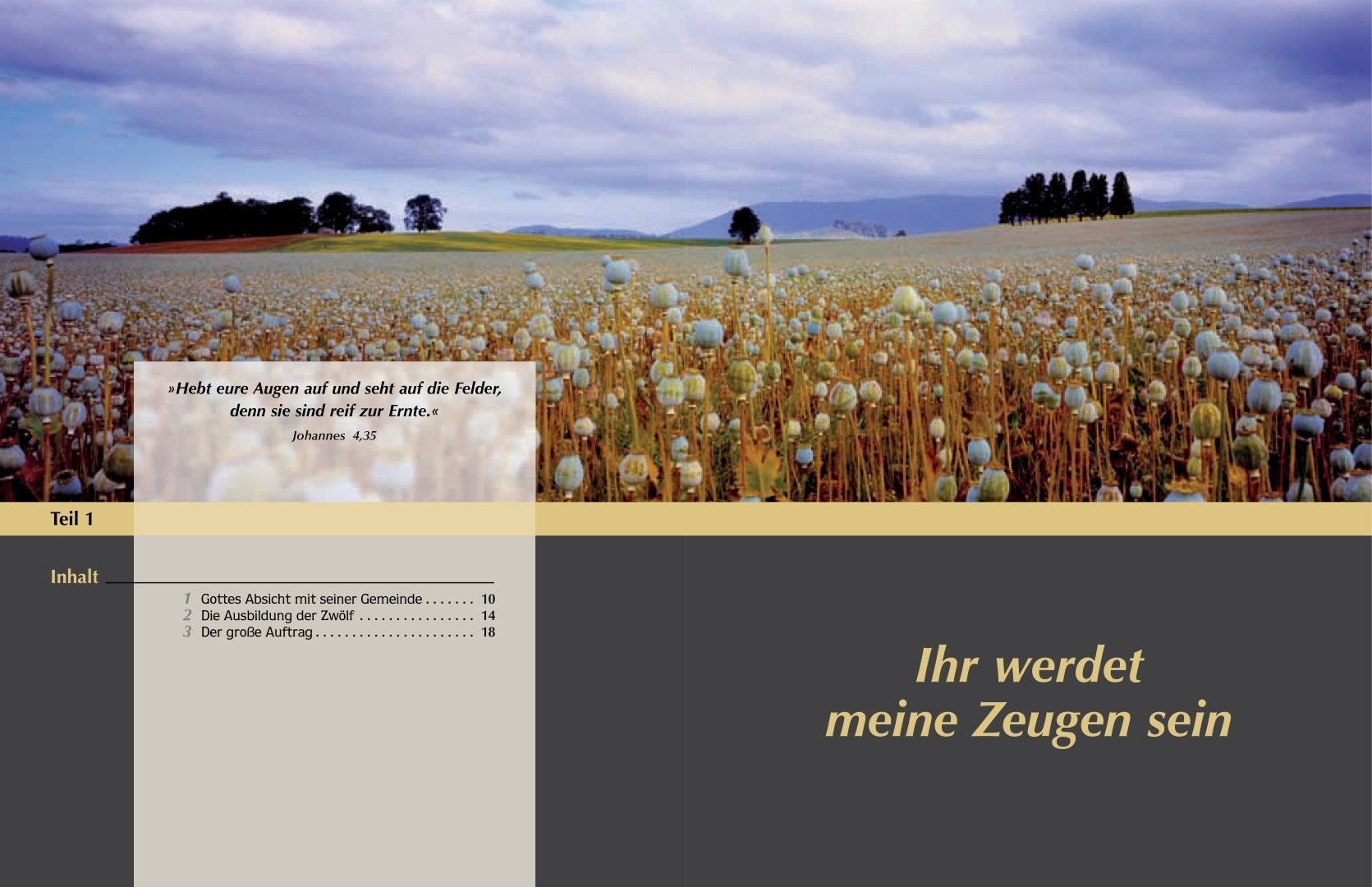 Advent-Verlag Schweiz-Gute Nachricht für alle, Premium_2210174_