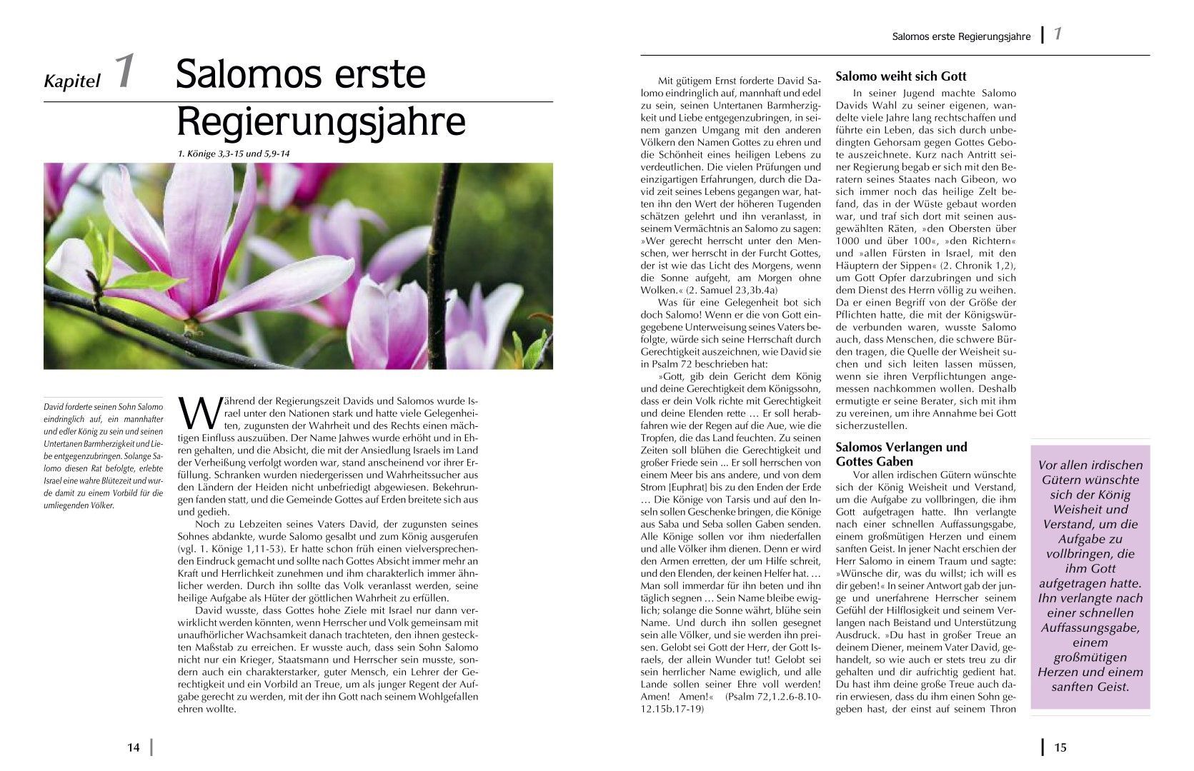 Advent-Verlag Schweiz-Wie alles begann, Premium_2210384_