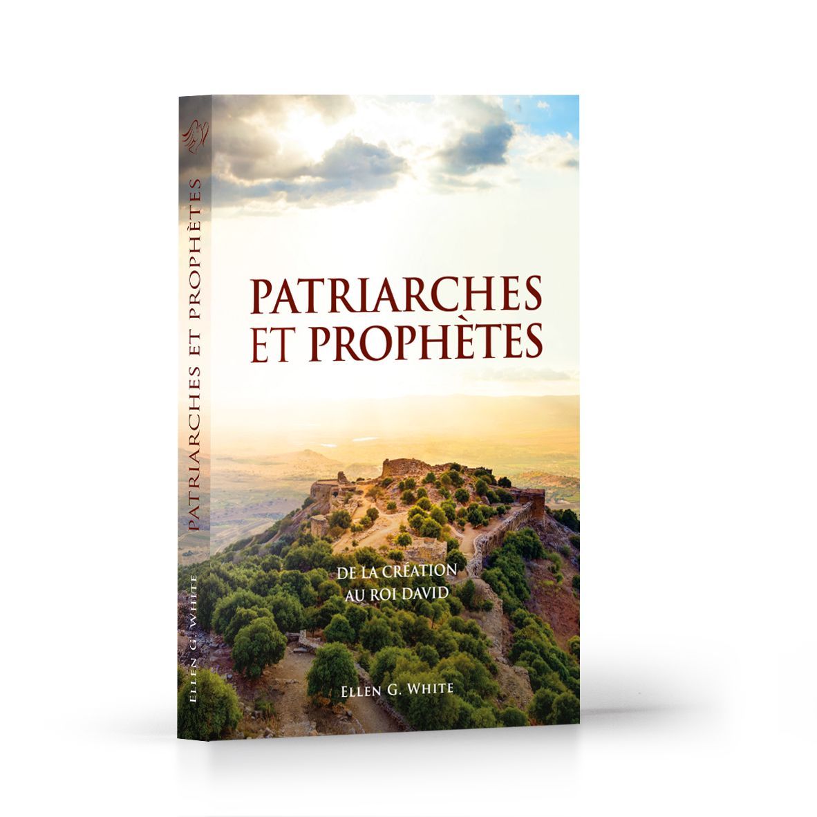 Advent-Verlag Schweiz-Wie alles begann, Missionsausg., Französisch AVS (Patriarches et prophètes)_2513025_
