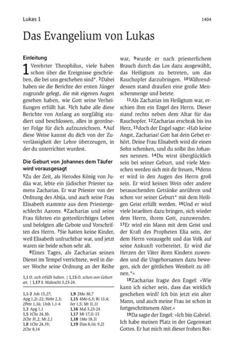 SCM Brockhaus-Bibel, Neues Leben, Standard, hellblaue Wellen, Hardcover_2942362_