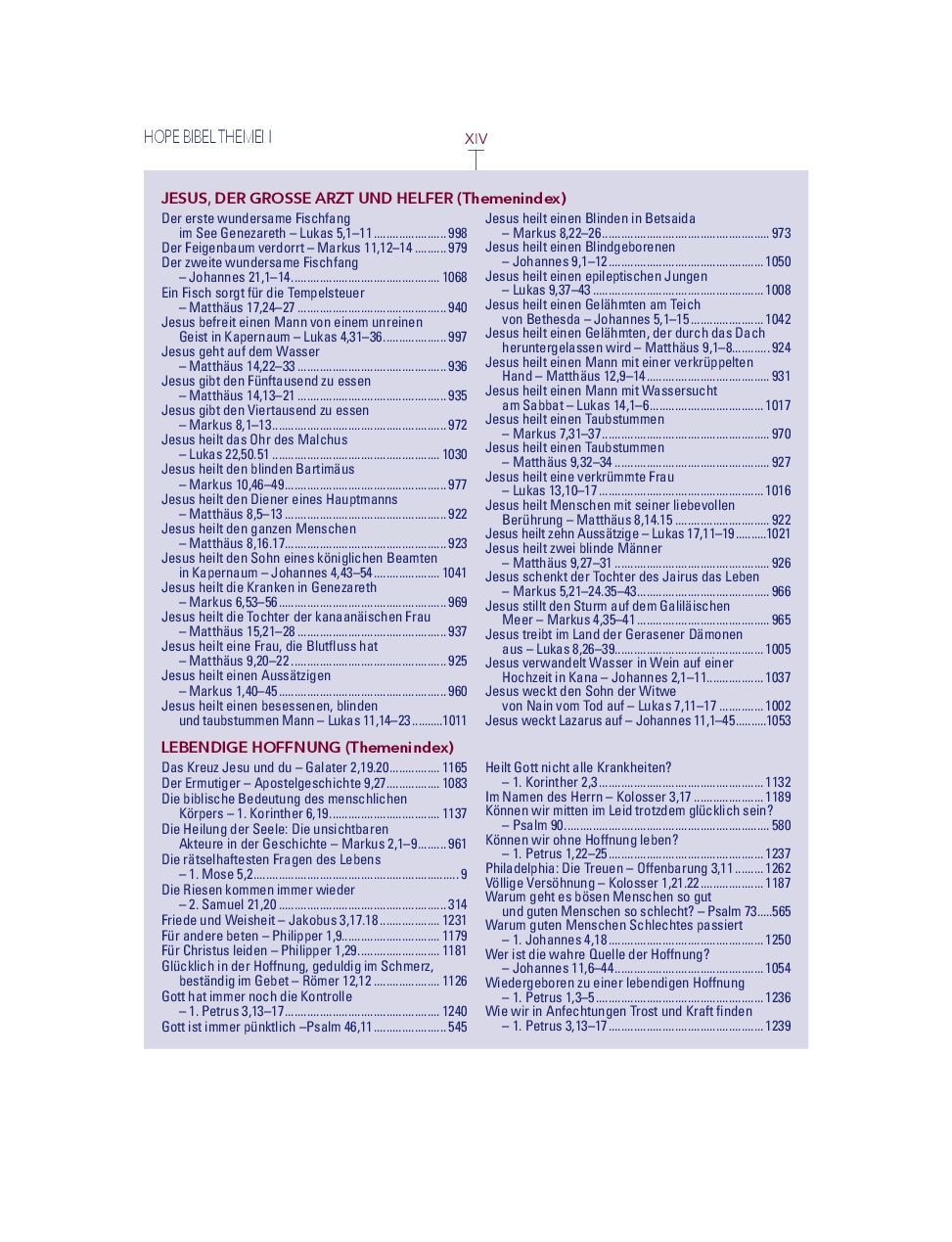 Advent-Verlag Schweiz-Bibel, Neues Leben, HOPE BIBEL, Standard, rot-weiss-blau_2412635_