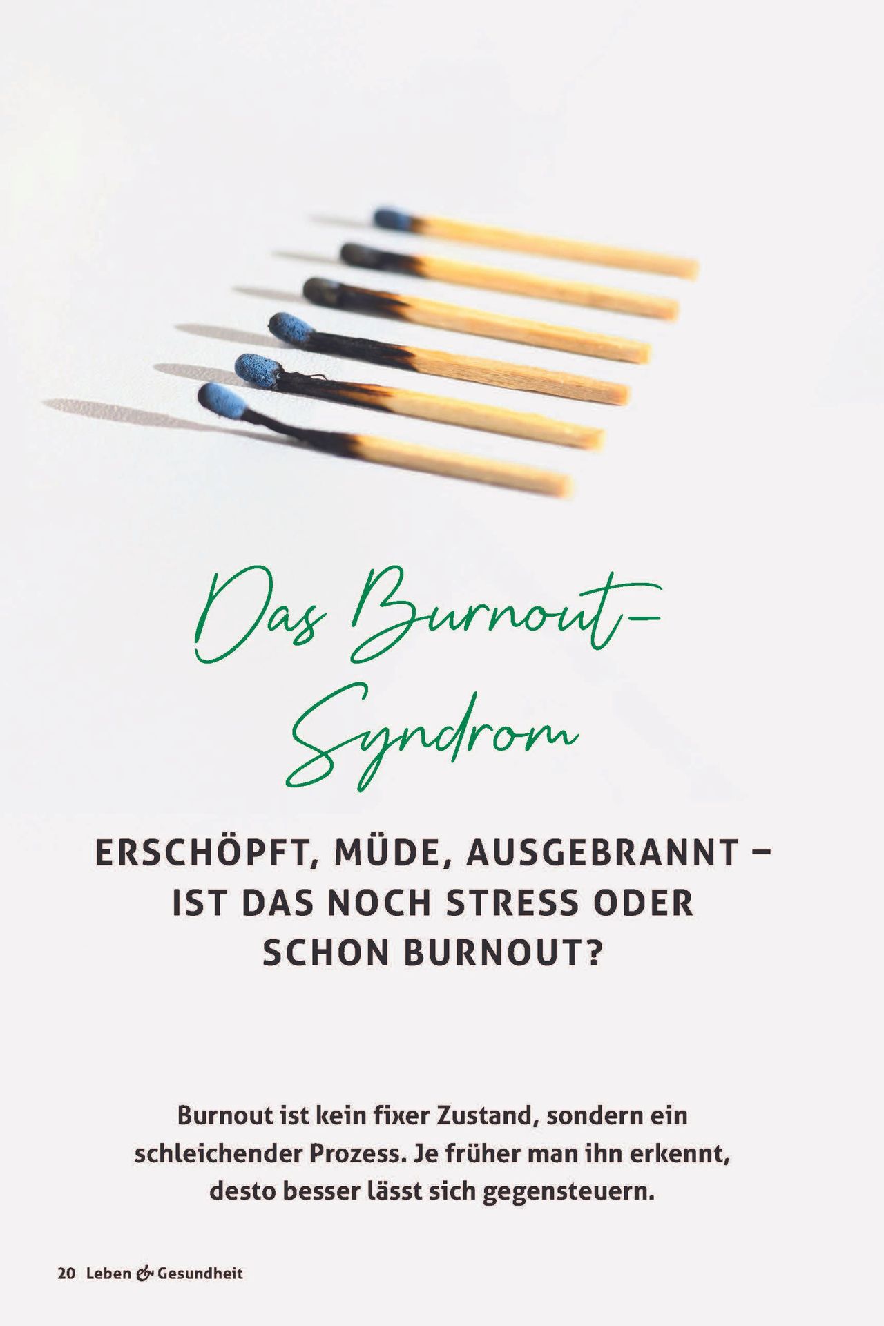 Advent-Verlag Schweiz-Leben & Gesundheit - Unser wertvollstes Gut, 10er-Pack_2212801_
