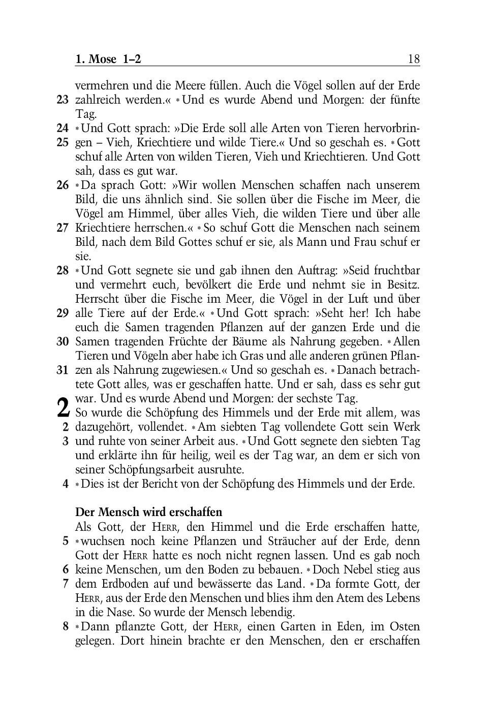 SCM Brockhaus-Bibel, Neues Leben, grosse Schrift_2942261_